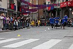 Gara delle Bighe 2011-7760